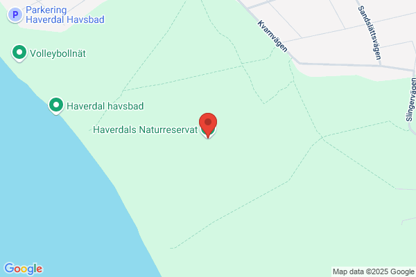 Haversdal