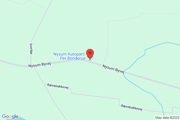 Nysum Autoophug
