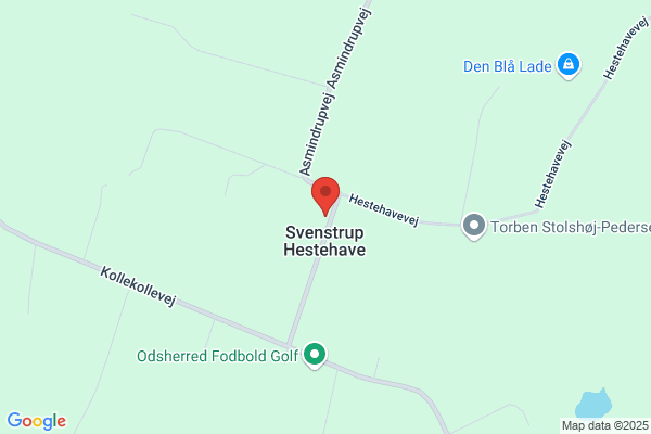 Hestehave VVS