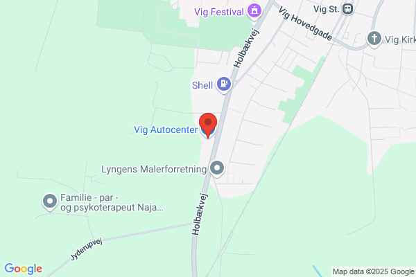 Bagge Auto Vig