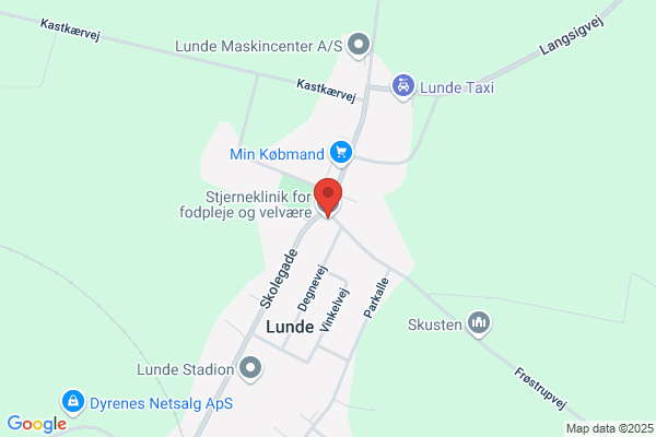 Stjernesalonen
