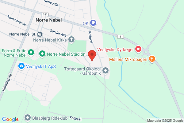 Nr. Nebel Murerforretning
