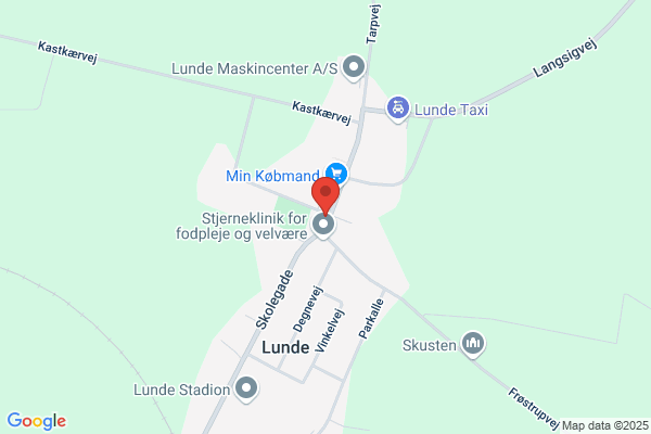 Venstreforeningen, Lunde