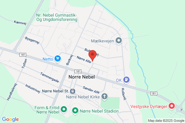 Nr. Nebel Salon-Skytteforening