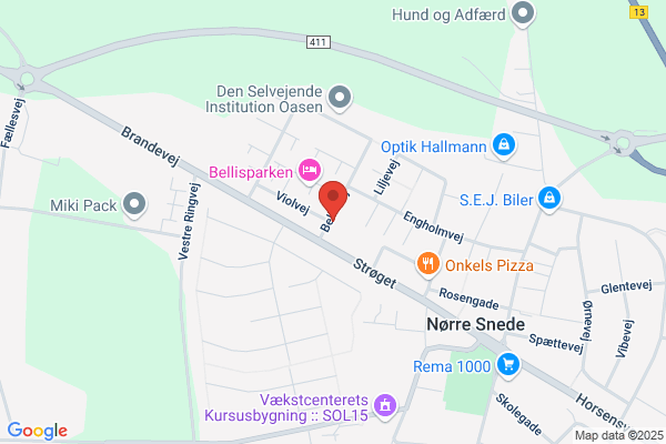 Dagplejen