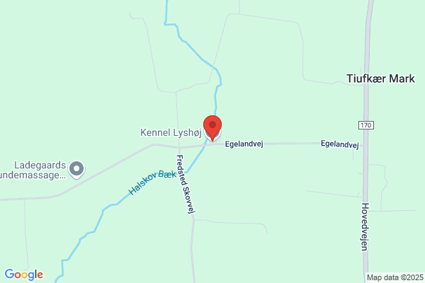 Kennel Grandly