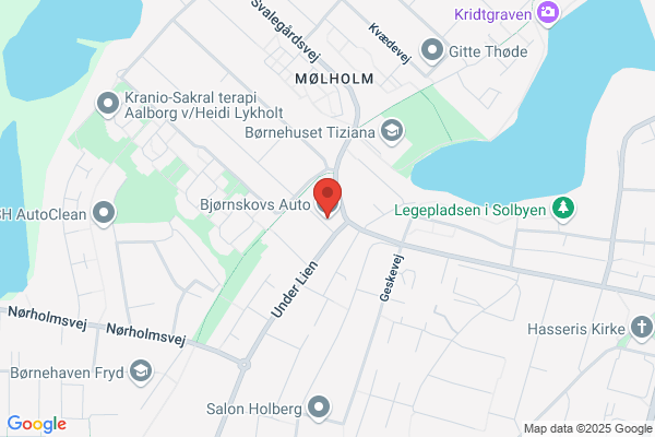 Bjørnskovs Auto