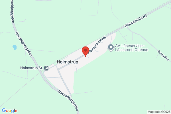 Automester Holmstrup