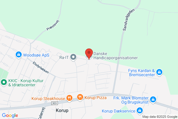Handicapklubben, Odense