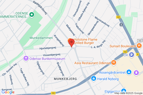 Odense Auto ApS