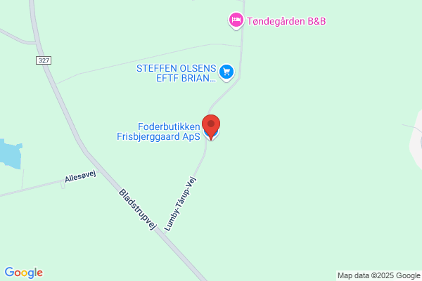 Flyvbjerg, Erik