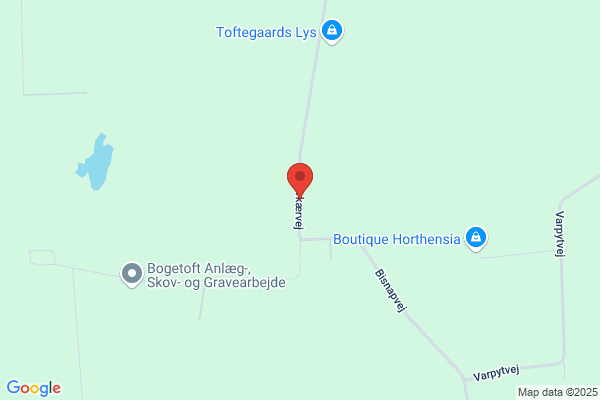 Lundsgaard, Heidi
