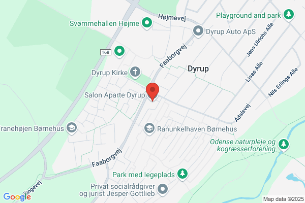 Dyrup, Salon