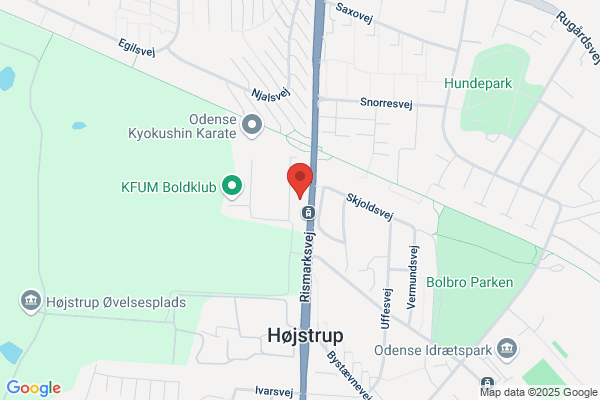 Delfinen Fritidsklub