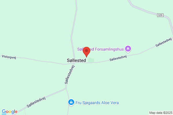 Gadespejlet I/S