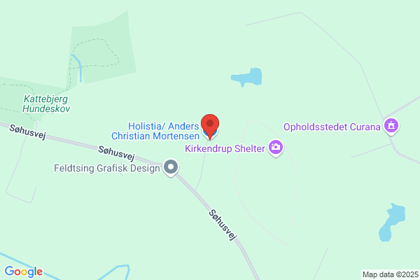Holistia