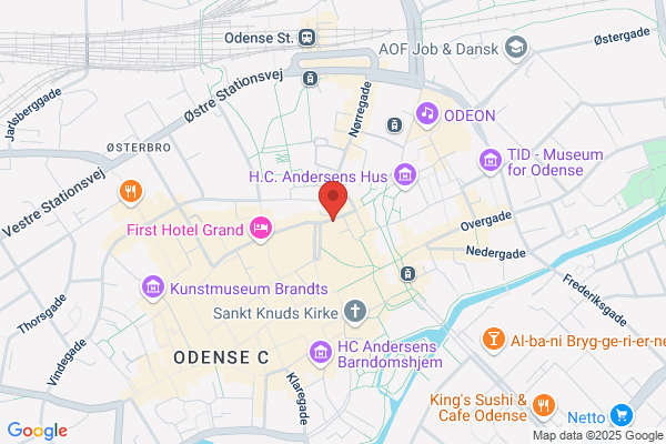 Det Blå Rocktog Odense