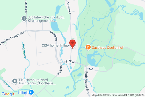 Dansk Children's International Summer Villages (CISV)