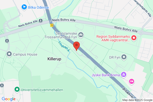 Den Vietnamesiske Buddistiske Forening i Odense