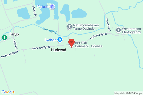 Forenede Brætspillere Odense