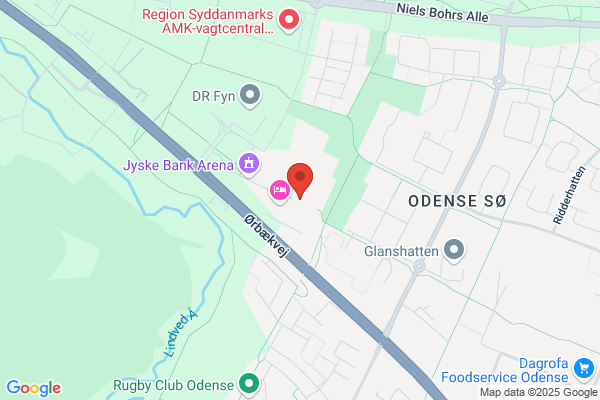 Odense Congress Center 2