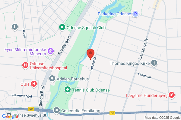 Petersen, Hanne