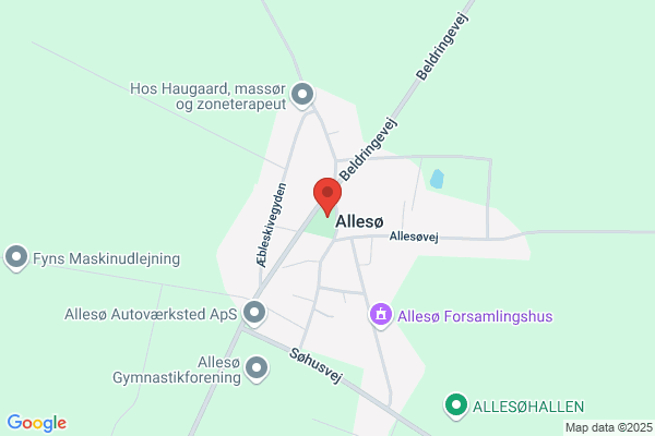Allesø kirkes menighedsråd