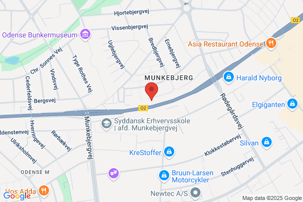 Revisionsfirmaet Axel Gram I/S