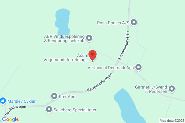 Borgerlisten i Odense