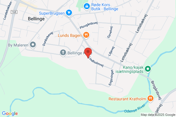 Venstre Odense Syd - Dalum