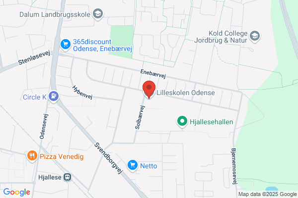 Lilleskolen i Odense