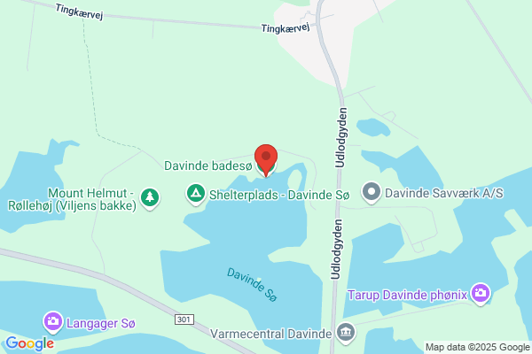 Davinde Vandværk