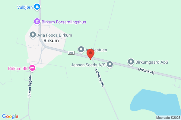 Birkums Zoneterapi