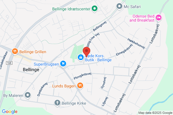 Flittig Lise Vejens Zoneterapi