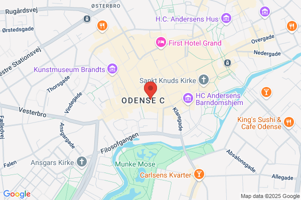 Nicoline Sko Odense ApS