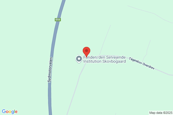 Skovbruget