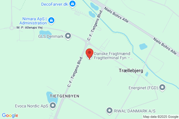 Speedy Fragt