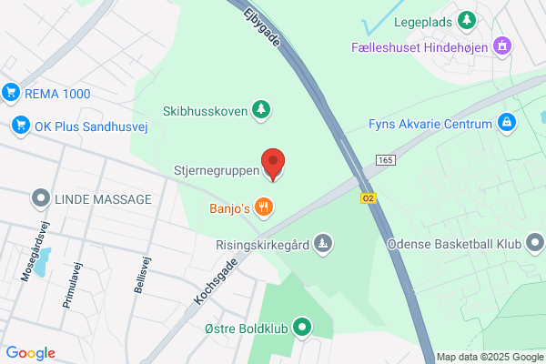 DDS Odense Fjord Division, Stjernegruppen