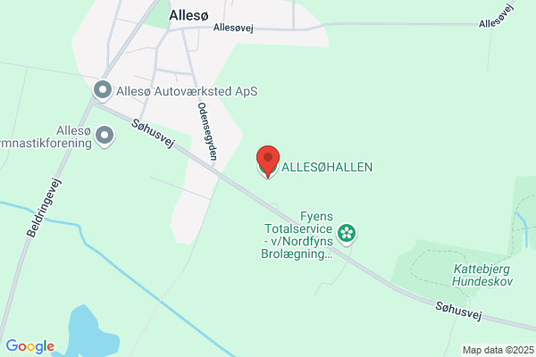 Allesøhallen