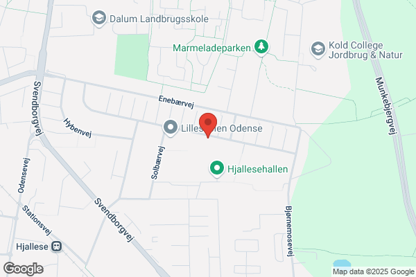 Dalum-Hjallese Gymnastikforening, DHG