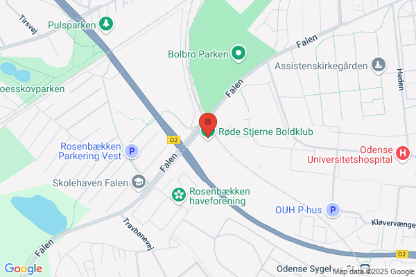 Lavia - Odense Handicap Idræt