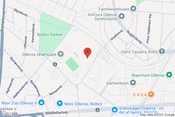 Odense Gymnastikforening, Gymnastikafd.