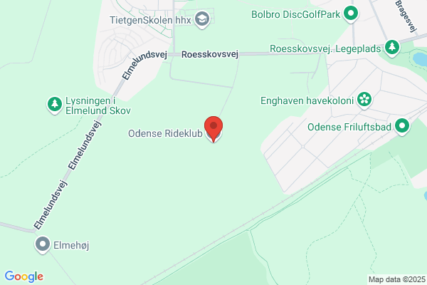 Odense Rideskole