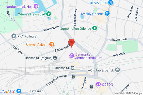 Regionale Arbejdsmarkedsråd (RAR) - Fyns Amt, De
