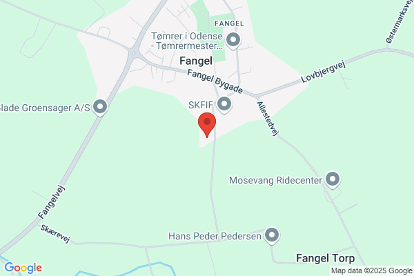 Fangel Tagservice