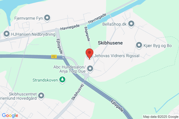 Jehovas Vidner, Odense Nord Øst Menighed