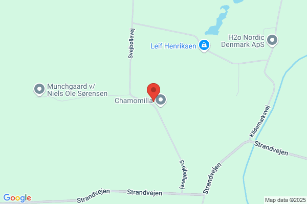 Henriksen, Egon Juul