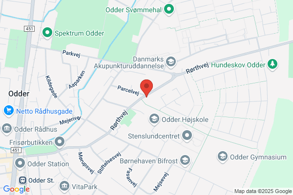 Carina Observatoriets Venner