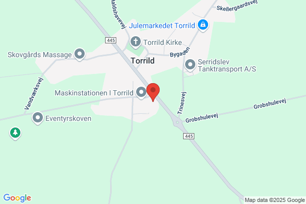 Venstre i Torrild