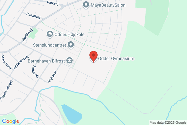 Odder Gymnasium